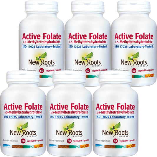 Active Folate(pack of 6)