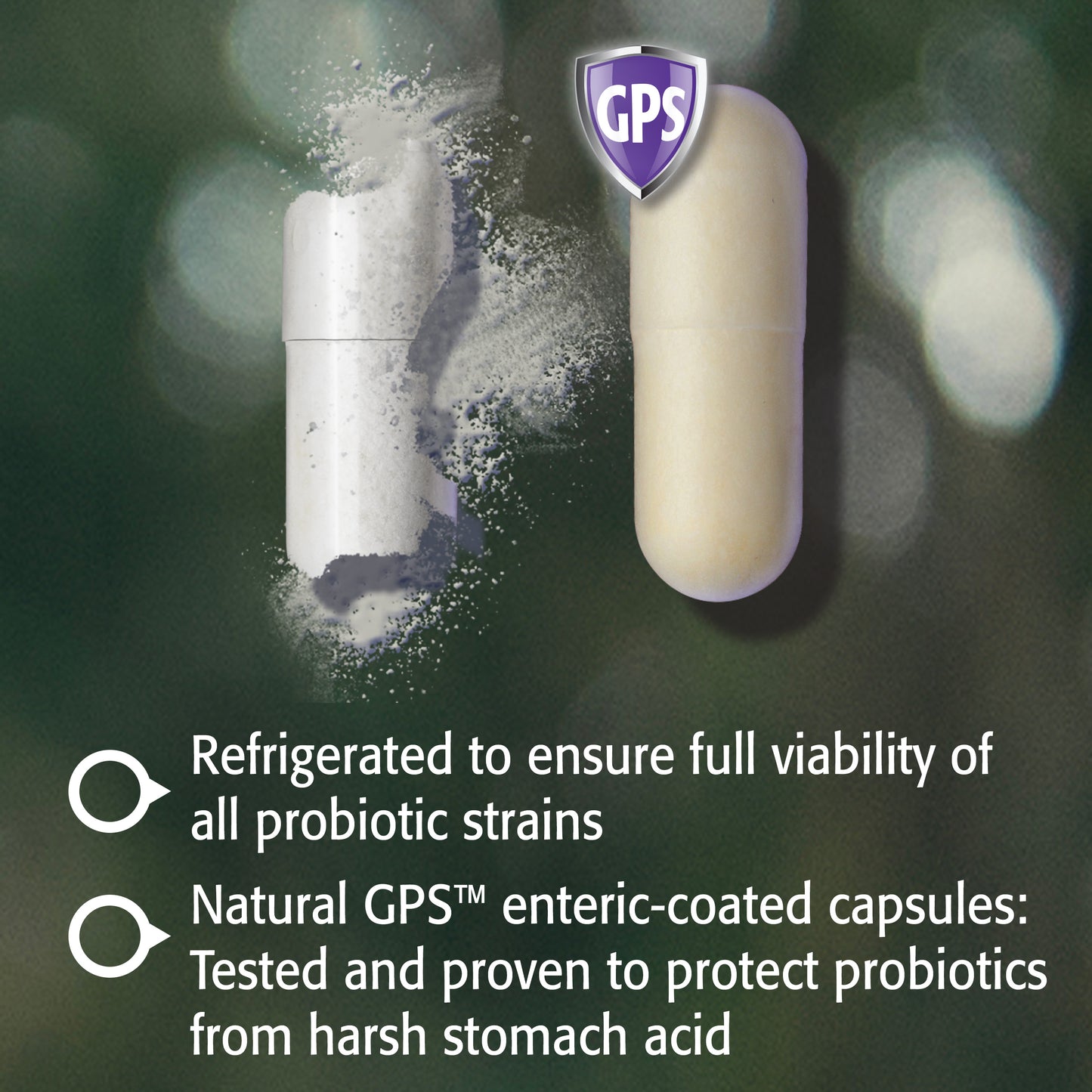 Acidophilus Ultra 11 Billion+ (30 Capsules)